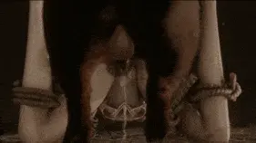 6ac5096977e6d8.07008798.gif